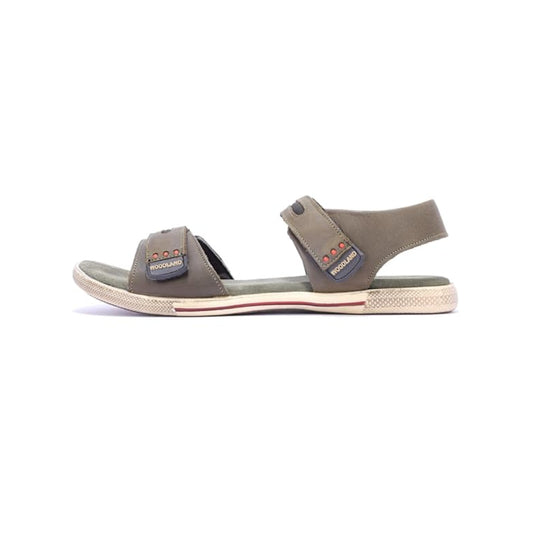 Men Oliv Green Color Sandals